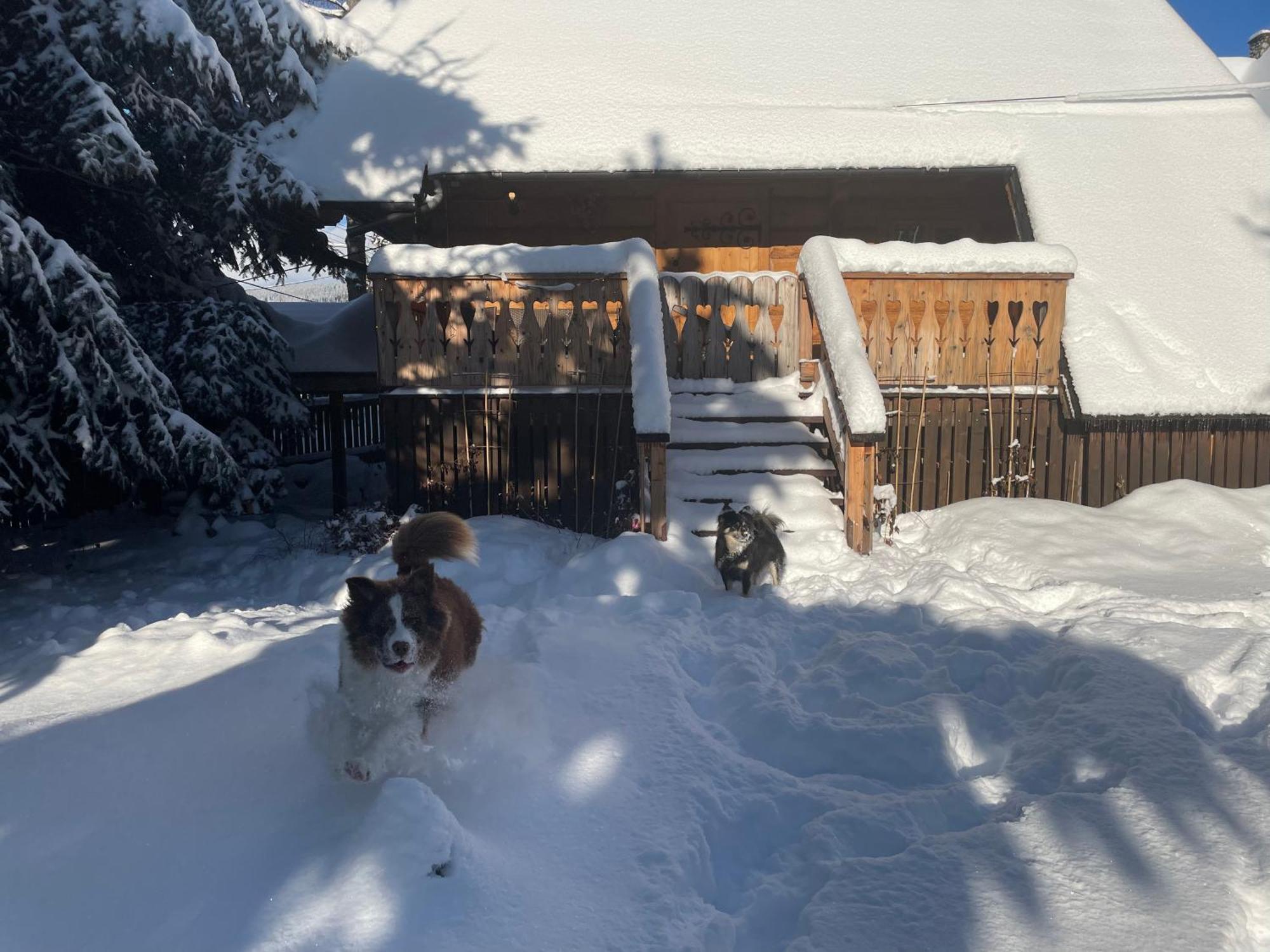 Chalet Krzeptowskiego 18